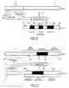 Fig. 06 - Record carrier comprising encryption indication information