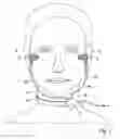 Fig. 02 - Noise damping headset with a throat microphone