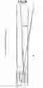 Fig. 15 - Road line recognition apparatus
