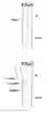 Fig. 31 - Road line recognition apparatus