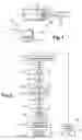 Fig. 02 - Method and apparatus for acquiring and processing images of an article such as a tooth