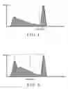 Fig. 04 - System and method for differentiating pictures and texts