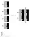 Fig. 06 - Encoding device and method, decoding device and method, and program