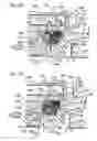 Fig. 25 - Rotation detecting device and wheel support bearing assembly utilizing the same