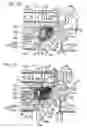Fig. 27 - Rotation detecting device and wheel support bearing assembly utilizing the same