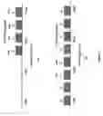 Fig. 05 - Methods and apparatuses to increase wavelength channels in a wavelength-division-multiplexing passive-optical-network