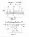 Fig. 06 - FREQUENCY DETECTION METHODS