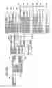 Fig. 11 - Optical disk, reproduction apparatus, reproduction method, and recording medium