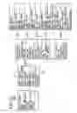 Fig. 17 - Optical disk, reproduction apparatus, reproduction method, and recording medium