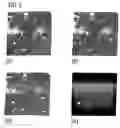 Fig. 04 - Camera illumination system