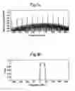 Fig. 03 - Data format for high bit rate WDM transmission