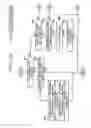 Fig. 10 - Image forming apparatus for controlling variation of image density and toner concentration