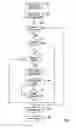 Fig. 03 - Ribbon identification