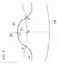 Fig. 09 - Internal gear type oil pump rotor