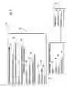 Fig. 02 - Vehicle ignition interlock systems with mouth alcohol contamination sensor