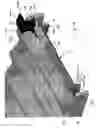 Fig. 05 - Assembly for carrying and holding slides