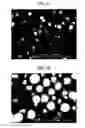 Fig. 04 - Processes for making dense, spherical active materials for lithium-ion cells