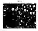 Fig. 05 - Processes for making dense, spherical active materials for lithium-ion cells