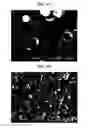 Fig. 07 - Processes for making dense, spherical active materials for lithium-ion cells