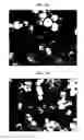 Fig. 10 - Processes for making dense, spherical active materials for lithium-ion cells