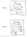 Fig. 07 - Producing method of fullerene derivative, fullerene derivative, proton conductor and electrochemical device