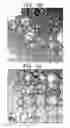 Fig. 03 - Carbon nanosphere with at least one opening, method for preparing the same, carbon nanosphere-impregnated catalyst using the carbon nanosphere, and fuel cell using the catalyst