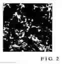 Fig. 03 - Carbon nanotube cathode and method of manufacturing the same