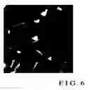 Fig. 06 - Carbon nanotube cathode and method of manufacturing the same