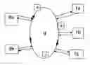 Fig. 01 - Efficient system and method for delivery of product and return of carrier