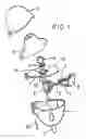 Fig. 02 - COMPOSITIONS FOR INHALATION