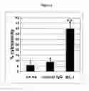 Fig. 03 - Antibodies with immune effector activity and that internalize in folate receptor alpha-positive cells