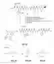 Fig. 05 - Gastrin releasing peptide compounds