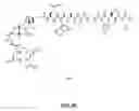Fig. 16 - Gastrin releasing peptide compounds