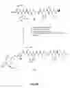 Fig. 22 - Gastrin releasing peptide compounds