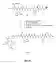 Fig. 24 - Gastrin releasing peptide compounds