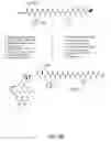 Fig. 34 - Gastrin releasing peptide compounds