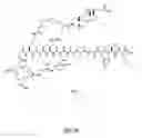 Fig. 43 - Gastrin releasing peptide compounds