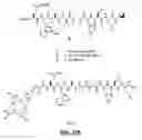 Fig. 56 - Gastrin releasing peptide compounds