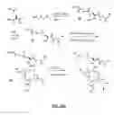 Fig. 63 - Gastrin releasing peptide compounds