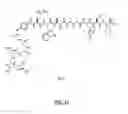 Fig. 67 - Gastrin releasing peptide compounds