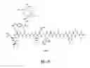 Fig. 74 - Gastrin releasing peptide compounds
