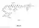 Fig. 75 - Gastrin releasing peptide compounds