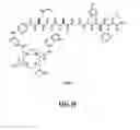 Fig. 80 - Gastrin releasing peptide compounds