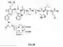 Fig. 97 - Gastrin releasing peptide compounds