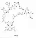 Fig. 99 - Gastrin releasing peptide compounds