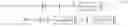 Fig. 20 - Method for forecasting the contrast medium flow in a living body