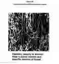 Fig. 07 - Imaging methods for early detection of brain tumors following embryonic stem cell implants