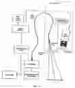 Fig. 02 - REAL TIME VASCULAR IMAGING DURING SOLID ORGAN TRANSPLANT