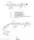 Fig. 03 - Gastrin releasing peptide compounds