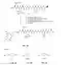 Fig. 05 - Gastrin releasing peptide compounds
